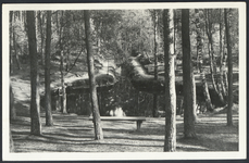 17509 Gezicht op de vijver De Koekenpan in het bos bij Driebergen-Rijsenburg.